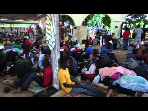 Sebastião divulga em seu gabinete virtual vídeo que mostra situação de haitianos no Acre