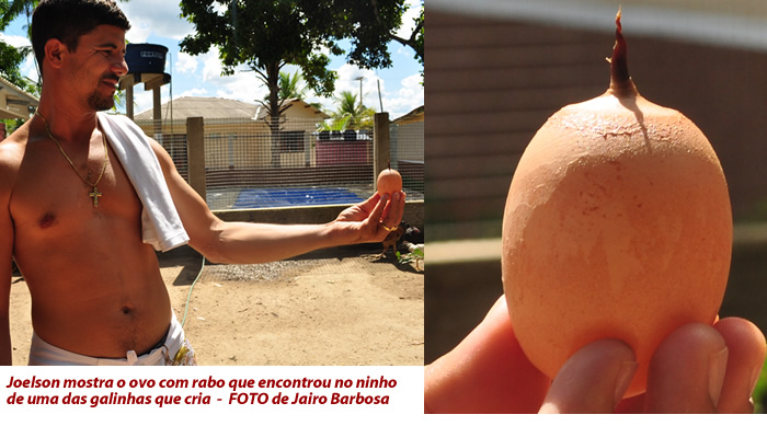 Mundo bizarro: homem encontra ovo com “rabo” no quintal de casa