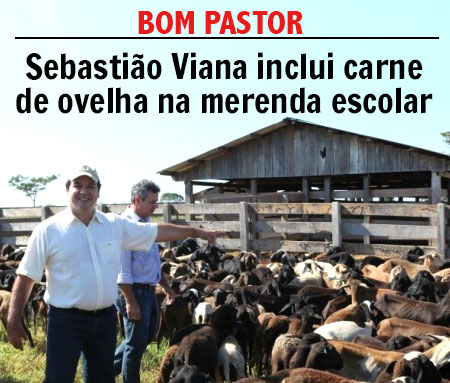 Bom Pastor – Sebastião Viana inclui carne de ovelha na merenda escolar