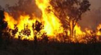 Tarauacá é a cidade que mais possui focos de incêndio