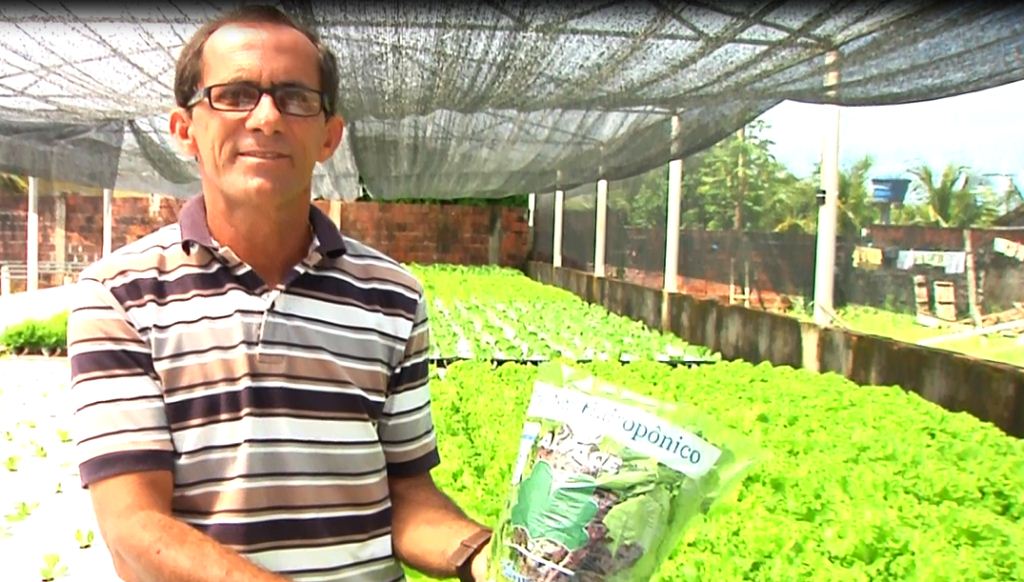 Empresário de Cruzeiro do Sul aposta no cultivo de hortaliças