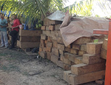 Patrulha Ambiental apreende 25 metros cúbicos de madeira ilegal em Rio Branco