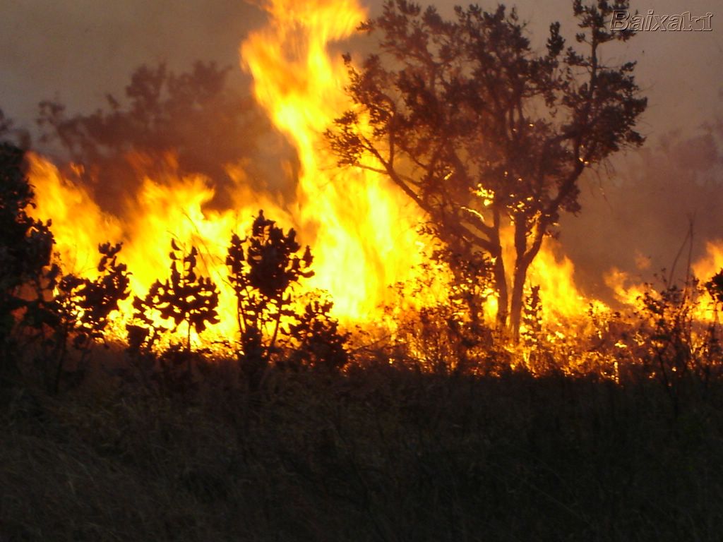 Acre é o estado com mais focos de queimadas em todo o Brasil