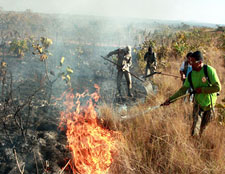 Deputado pede ação mais efetiva de órgãos ambientais no combate às queimadas