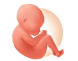 Segurando feto, mulher denuncia maternidade por negligência