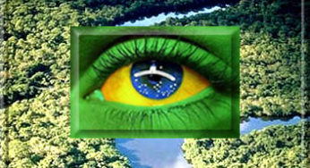 Alertas de desmatamento caem 19% na Amazônia Legal