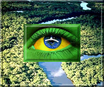 Brasil e BID firmam convênio para medir efeito estufa na Amazônia