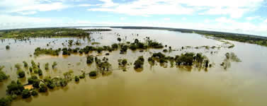 Rondônia prepara plano contra doenças causadas por inundações