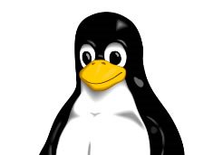 Telecentro abre inscrições para curso de edição de vídeo em Linux