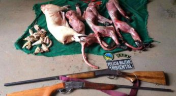 Carne de animais silvestres é apreendida pela Policia na BR 317