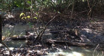 Esgoto de casas entregues pelo governo está contaminado o Igarapé Judia, denuncia líder comunitário