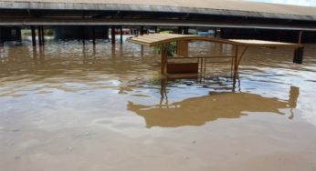 Rio Madeira já está com dois metros acima do normal