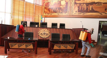 Mesa diretora tenta acabar com os ratos na Assembléia Legislativa do Acre