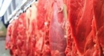 Preço da carne bovina no varejo é mais que o dobro dos valores pagos ao produtor e ao atacado