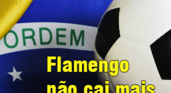Flamengo não cai mais à Segundona