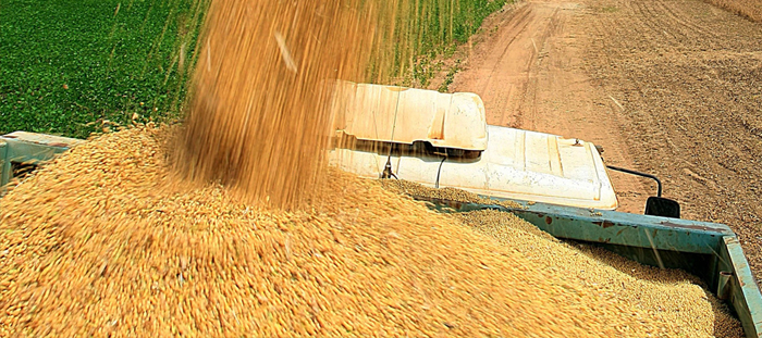Deputado denuncia sumiço de 600 toneladas de milho de silo graneleiro de Brasileia