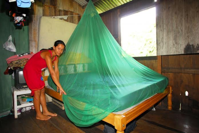 Ministério da Saúde quer eliminar a Malária presente no Acre