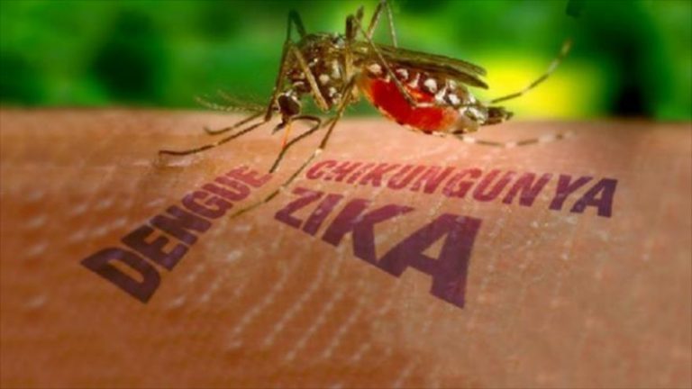Extrato de saque do Bolsa Família alerta para cuidados com a Zika