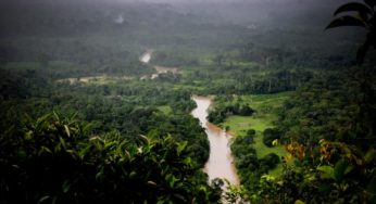Acre é o estado da Amazônia Legal que menos desmatou em maio
