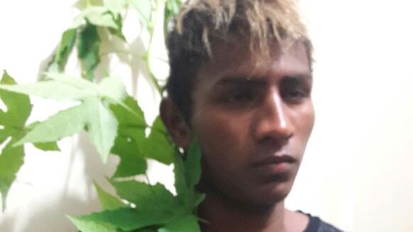 “Sósia do Neymar” é preso por cultivar pé de maconha na fronteira do Acre