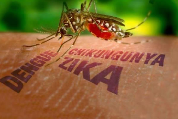 ​Acre registra 10 municípios em situação de alerta ou risco de surto de dengue, chikungunya e zika