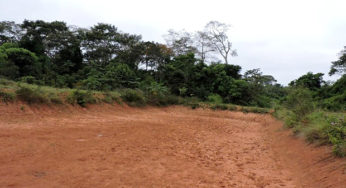 Açudes abertos pelo governo do Acre secam na reserva Chico Mendes