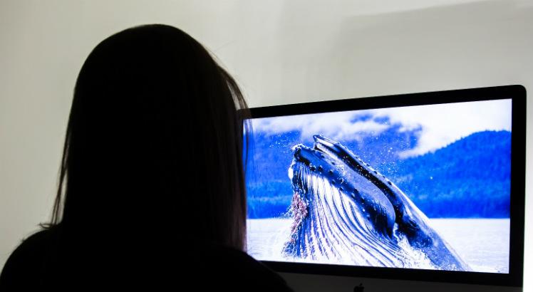 Jovem de onze anos é a primeira vítima da Baleia Azul em Rondônia