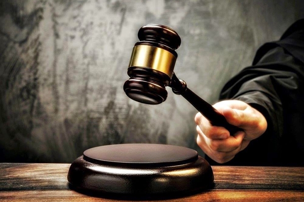 Processo contra homem que transportava jabuti sem autorização é julgado improcedente
