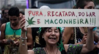 Pesquisa mostra crescimento do número de jovens, ricos e graduados favoráveis a descriminalização da maconha