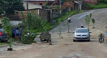 Em protesto contra Ilderlei , moradores colocam plantas em buracos na avenida de CZ