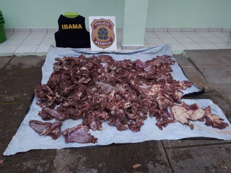 Ibama apreende 150 kg de carne silvestre na divisa entre Guajará (AM) e Cruzeiro do Sul