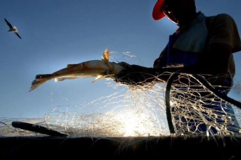 Pescador proibido de pescar: Defeso vai até o dia 15 do mês de março no Acre