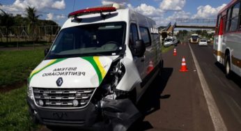 Por causa de cachorro na pista, Vans do IAPEN ficam destruídas em acidente em SP