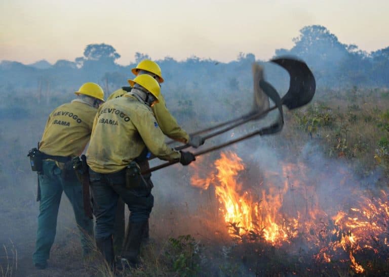 Ibama autoriza contratação de brigadas contra queimadas em Brasiléia, Sena e Feijó