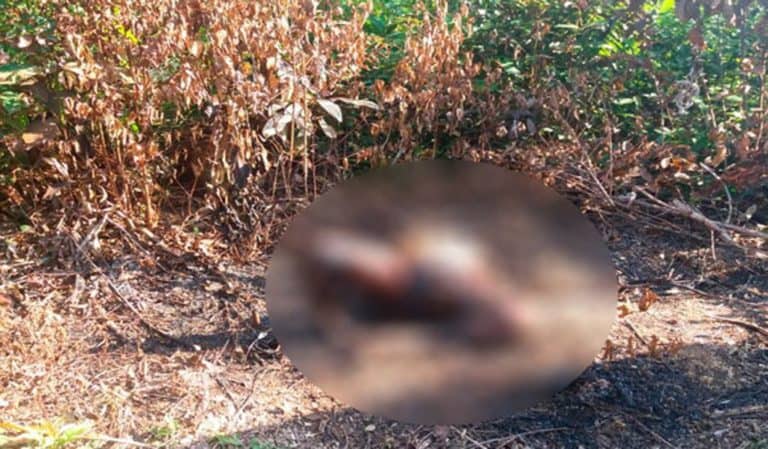 Corpo de homem é encontrado carbonizado em ramal de Rio Branco