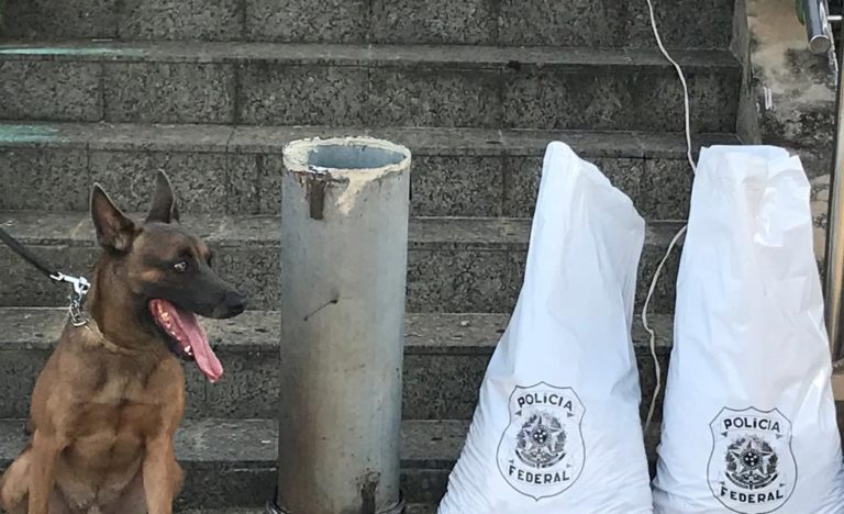 Polícia Federal utiliza cães farejadores e efetua prisão de caminhoneiro por tráfico de cocaína