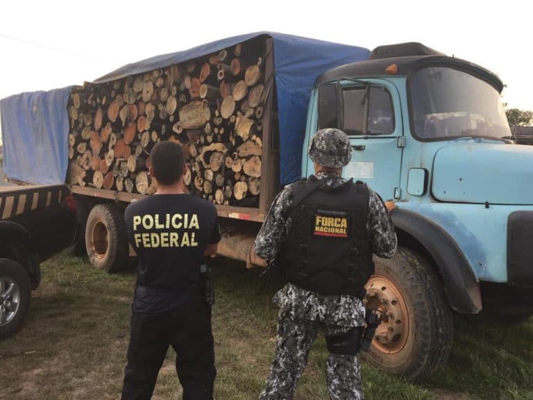 Polícia Federal deflagra Operação Tauari de combate ao desmatamento em Epitaciolândia