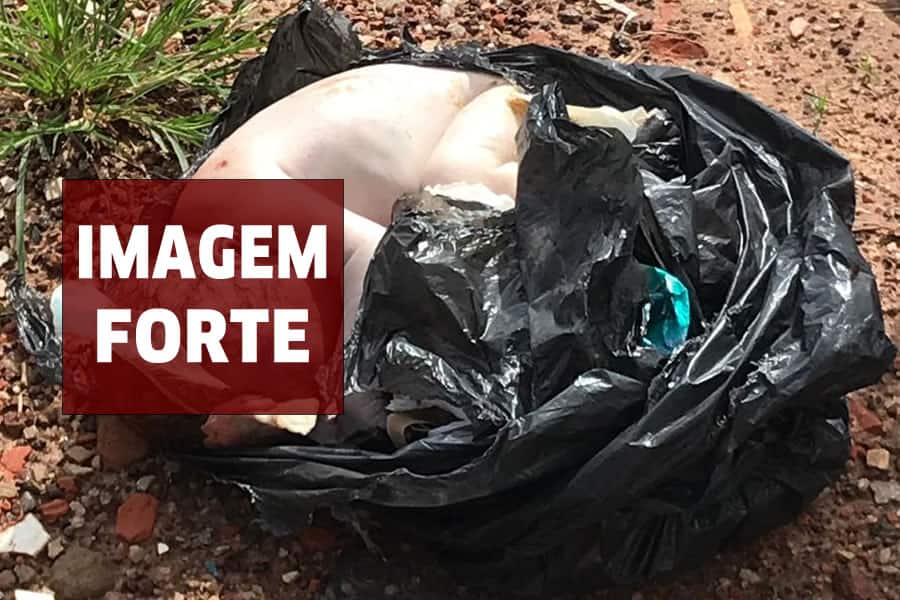 Polícia Civil ainda não identificou mãe de bebê achado morto em saco de lixo, na Capital
