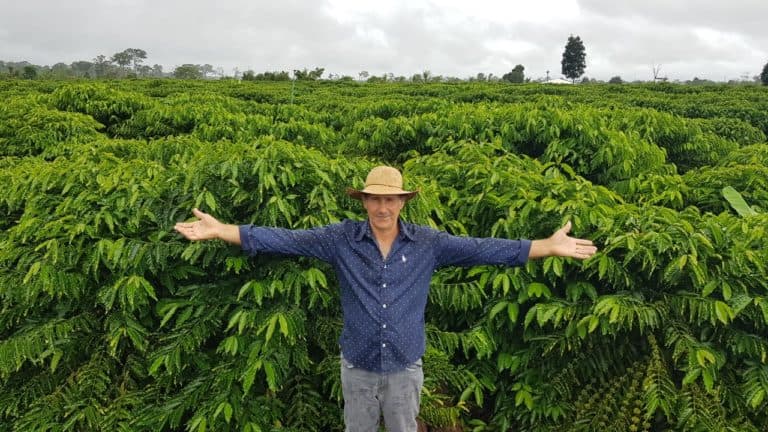 Plácido de Castro encontra saída econômica para o Acre: plantar café