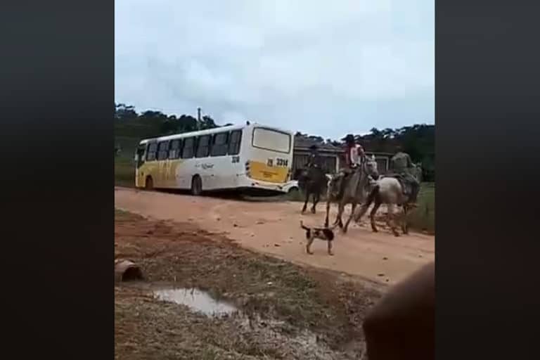Moradores usam cavalos para tentar desatolar ônibus que encalhou em buraco