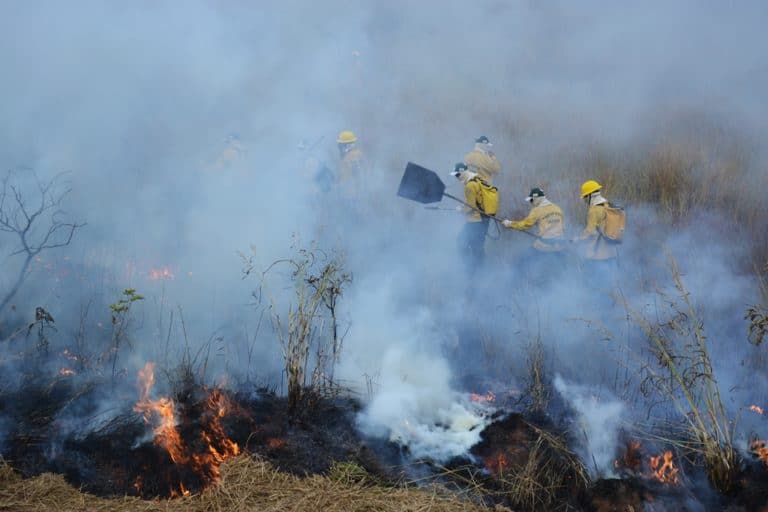 Bombeiros já atenderam 200 ocorrências de incêndios ambientais em Rio Branco