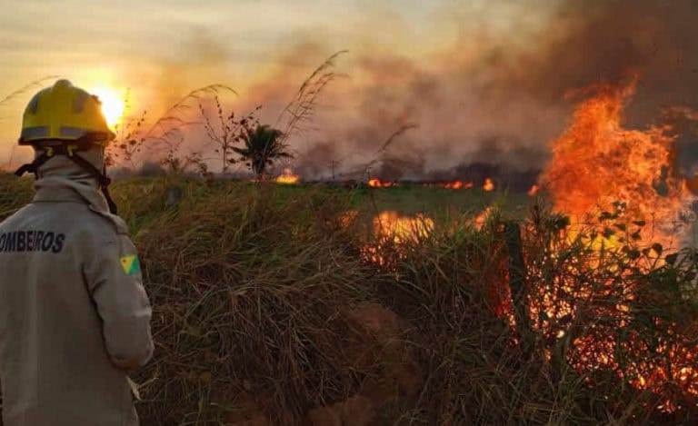 Bombeiros atenderam 374 ocorrências de queimadas no final de semana em Rio Branco