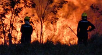 Governo diz que aumentou contratação de brigadistas contra queimadas na Amazônia