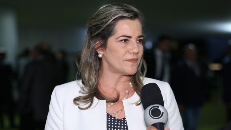 Mara Rocha aprova emendas para a construção de pontes em Porto Acre, Sena Madureira e Xapuri