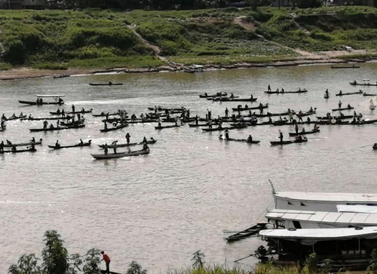 Piracema do Mandim lota o Rio Purus de canoas em Boca do Acre