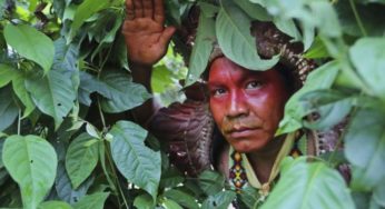 A história de superação e resiliência dos índios Yawanawá