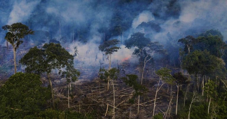 Acre é o que mais reduziu desmatamento em 2023, mas divisa com Rondônia e Amazonas desafia meio ambiente