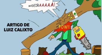 O ronco da motosserra