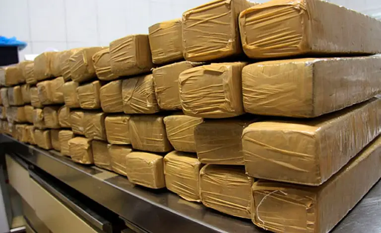Membros do CV são denunciados por comercializar mais de 600 quilos de drogas no Acre e RN