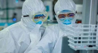 Novo coronavírus não foi criado em laboratório, diz estudo